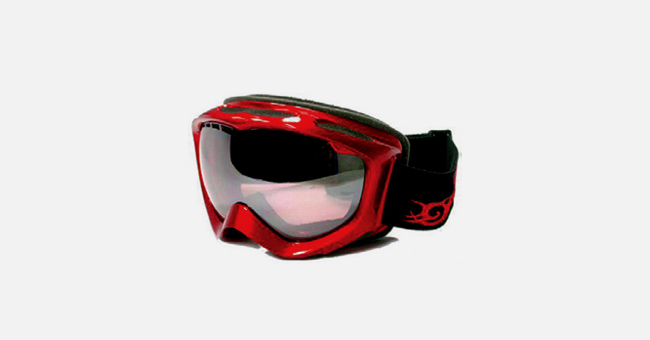 Goggle